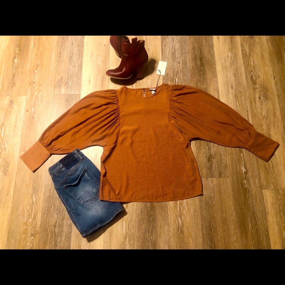 Brand new size sm puffy sleeve shirt